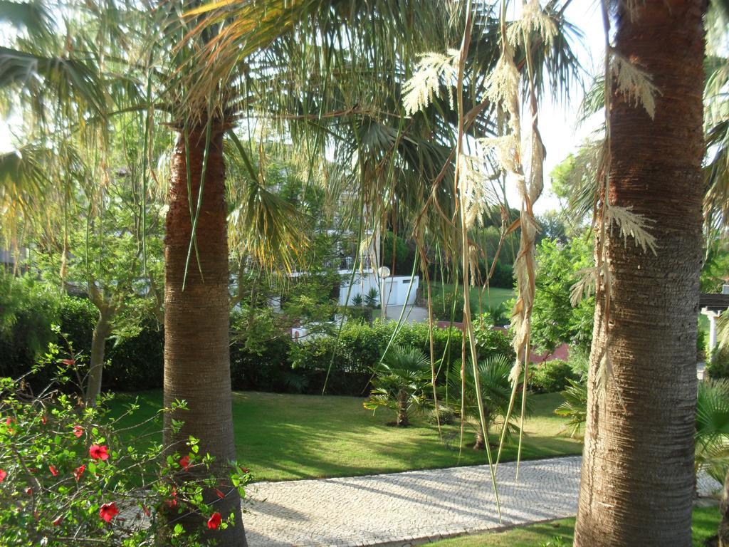 Luzmar Villas Luaran gambar